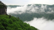 PICTURES/Endless Wall Trail - New River Gorge/t_Mist In Valley2.jpg